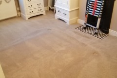 carpet-cleaning-service