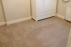 carpet-cleaning